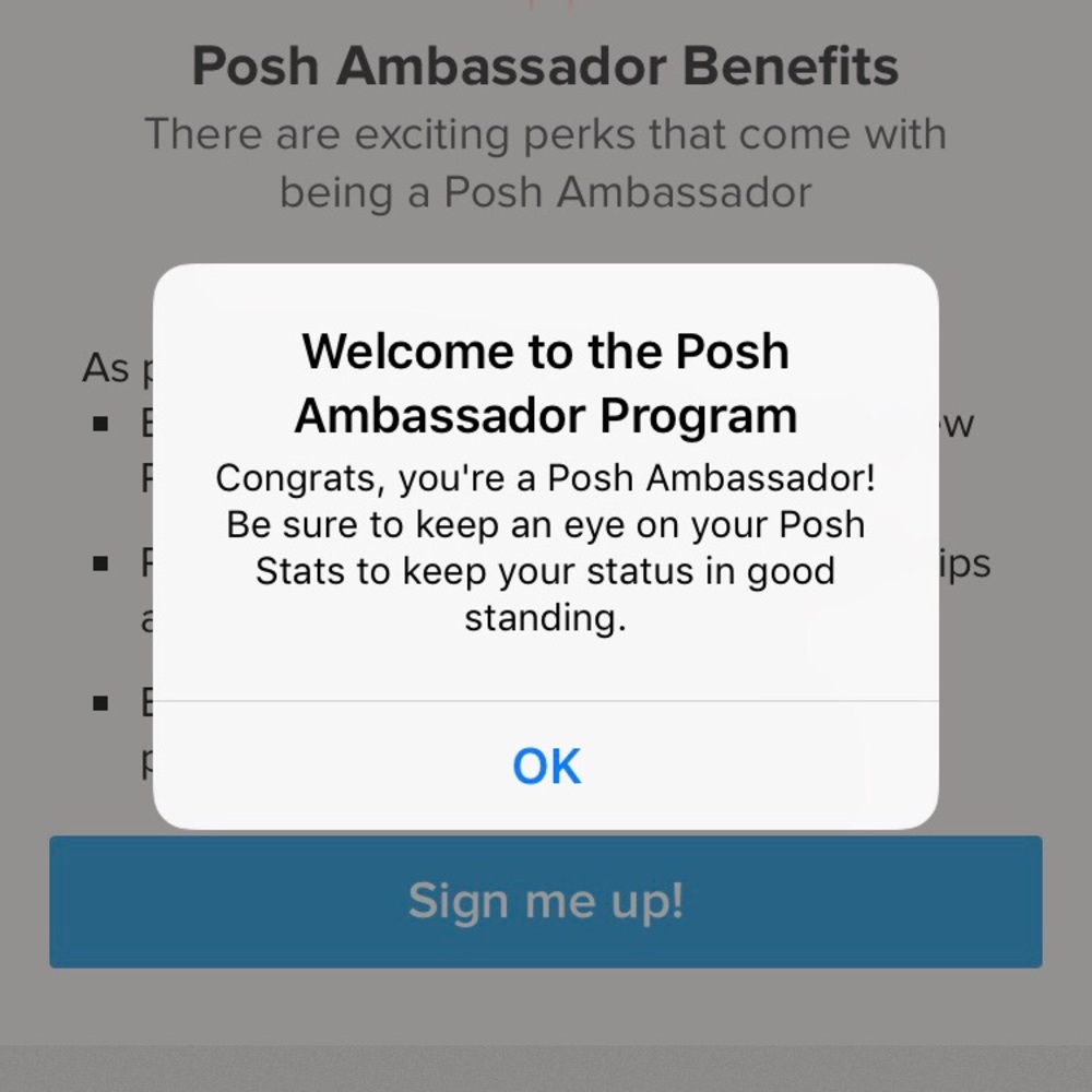 POSH AMBASSADOR 💕💕 - Picture 2 of 3